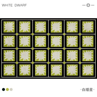 轻奢高级茶几床边V毯全铺隔音地 主序星地毯客厅卧室家用2024新款