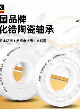 德国SKX陶瓷轴承6008 6009 6010 6011 6012 6013 6014 6015 CE RS