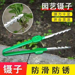 园艺工具镊子不锈钢拔草拔苗拾物夹子种花家用种菜取物夹种子农用