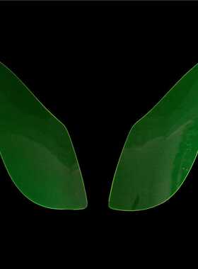 适用于天浪650 Burgman650 AN650 改装新款车灯保护罩 大灯保护片