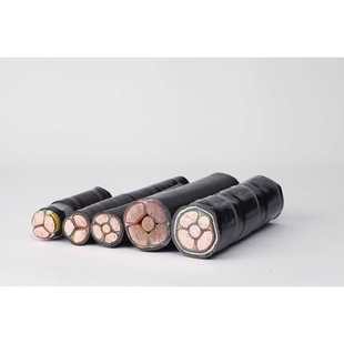 YJV 16阻燃电力电缆 0.6 铜芯硬线国标保检测 1KV