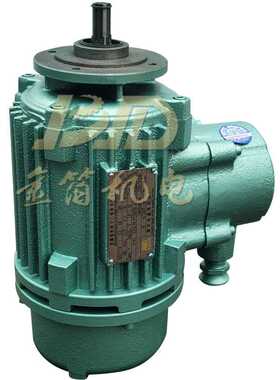 麟风  供应BZDY21-4 0.8kwD.1  双速电机 江苏  电动机