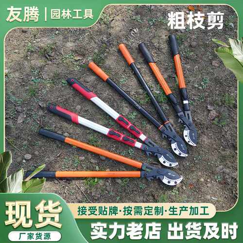 粗枝剪园林果树剪刀修枝剪高粗枝剪大力剪省力伸缩园艺工具剪子