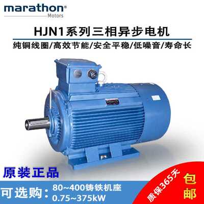 马拉松marathon HJN1(IE2)系列三相异步电机0.75KW~375KW可选择