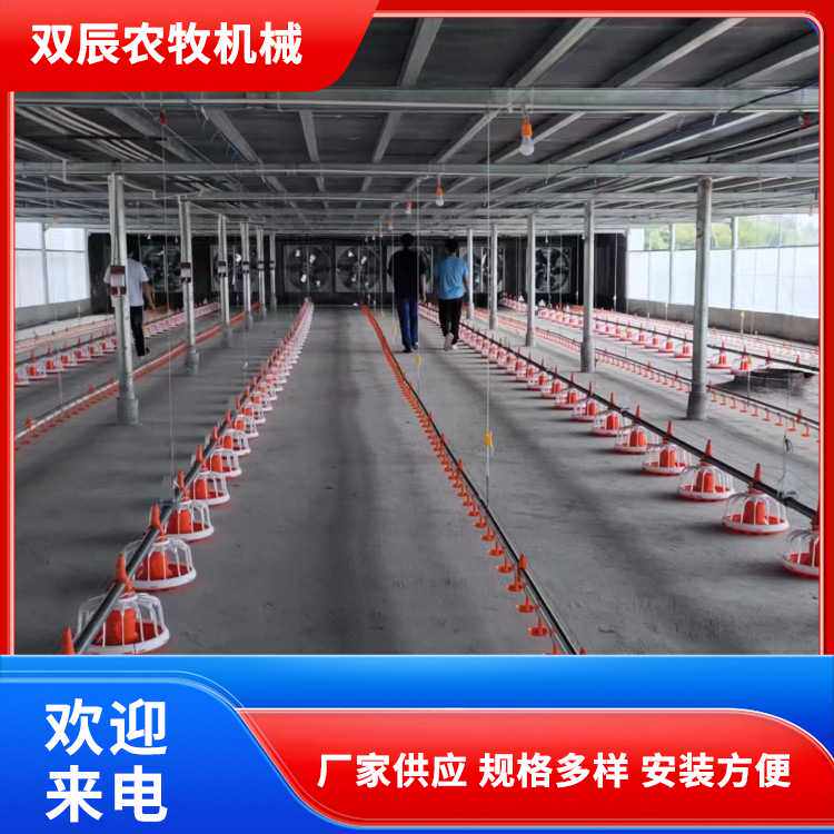 广东养鸡用料线水线厂家定制自动机械养殖设备