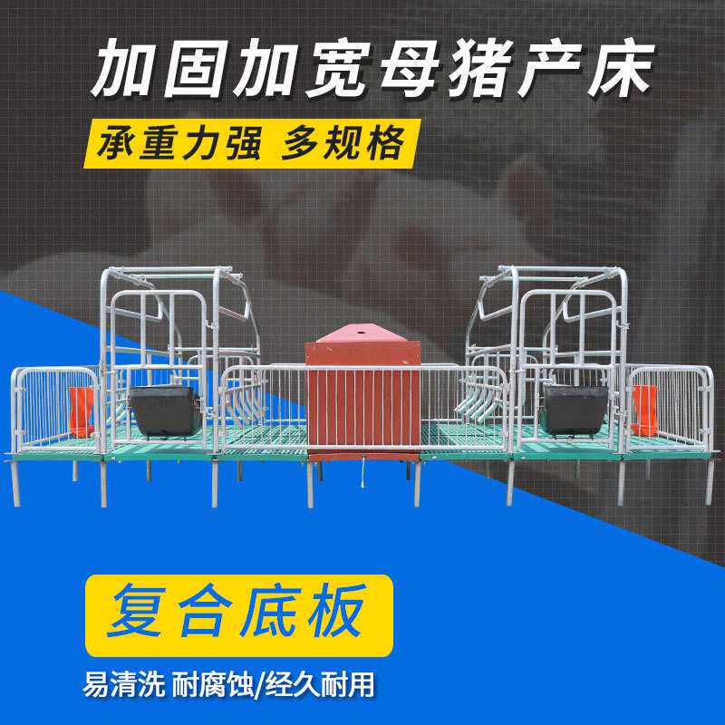 猪场养殖设备 双体母猪产床 全复合底板产保一体猪产床厂家