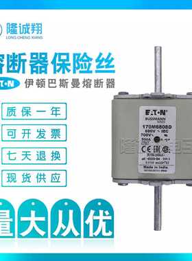 【熔断器保险丝】170M7250 170M7255 170M7260 170M7481 170M7489