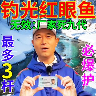 红眼鱼专用饵料冬季野钓黑坑专攻赤眼鲫鱼不空军通杀超腥小药神器
