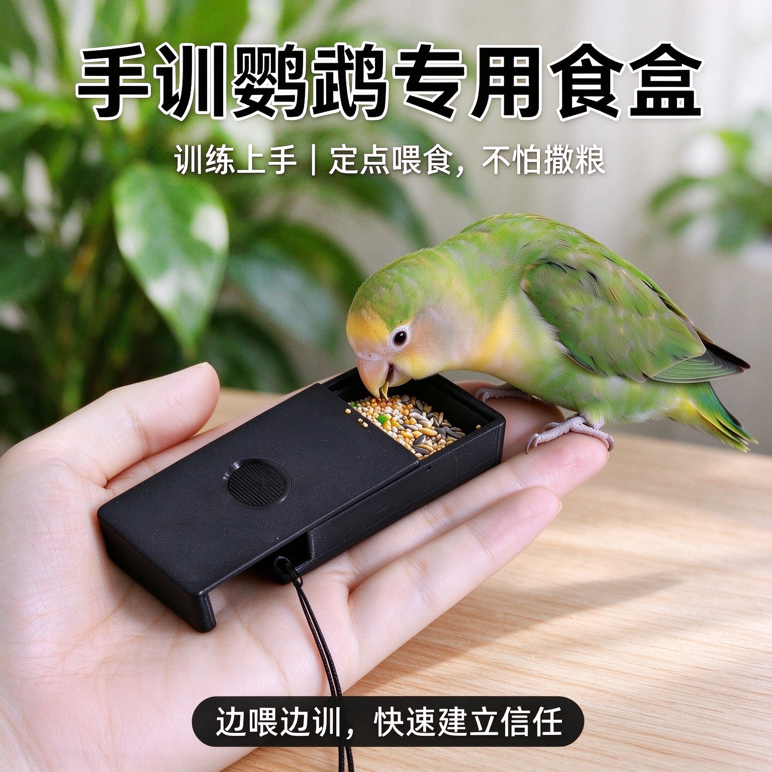 训鸟磁吸食盒鹦鹉上手奖励