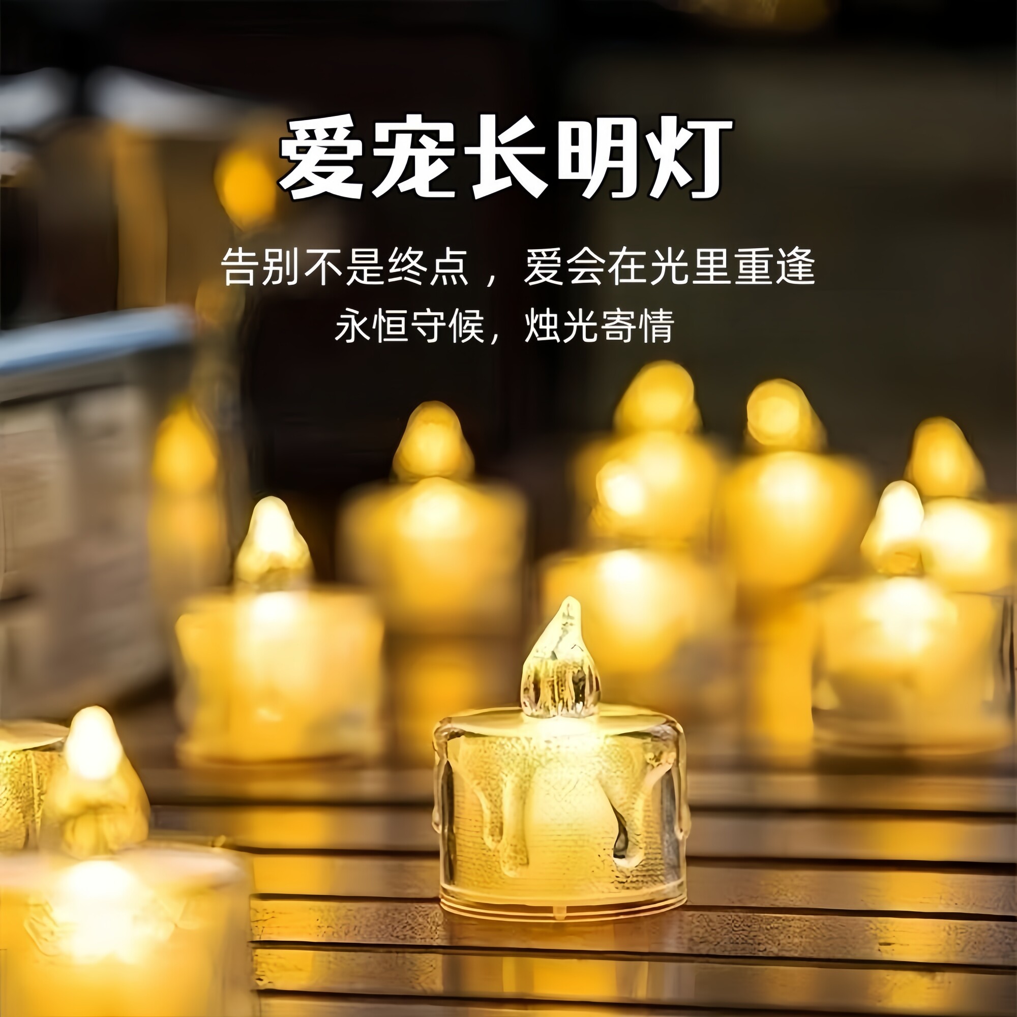 宠物祭祀蜡烛 去世纪念猫咪狗狗供奉酥油灯 仿真电子长明灯