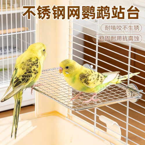 鹦鹉不锈钢休息跳台网架