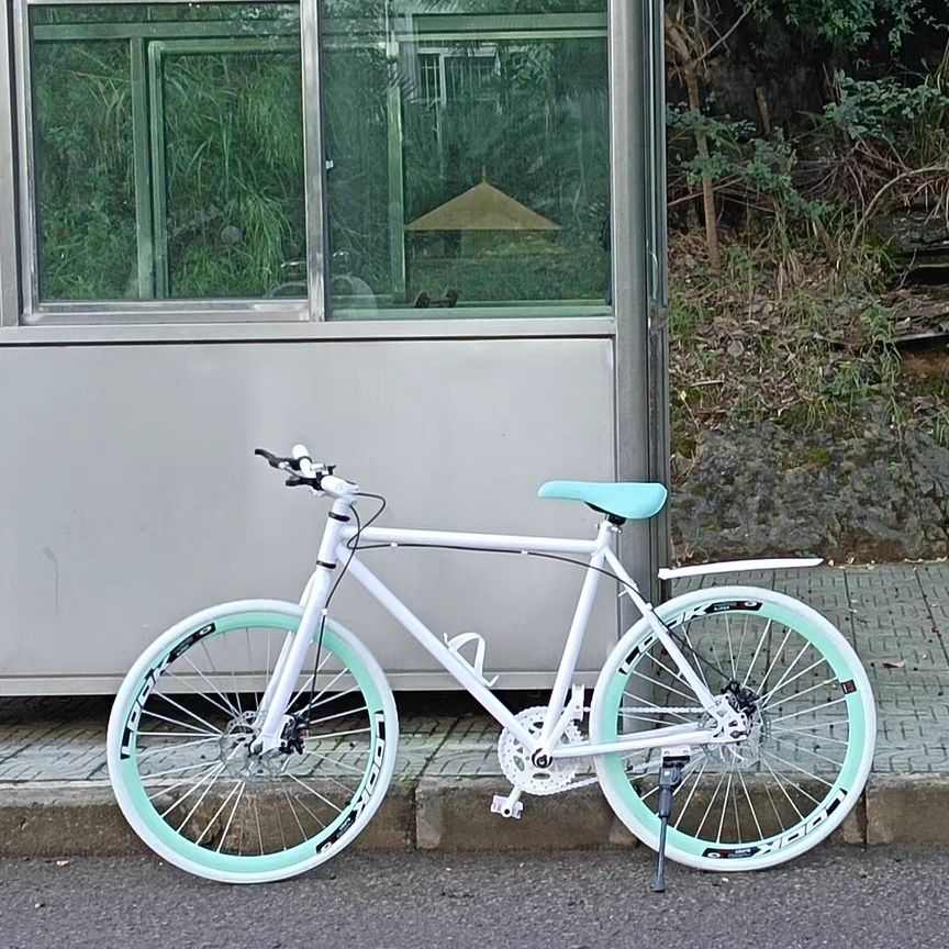 山地自行车女款死飞双碟刹女活飞单车24H/26寸学生公路赛车手刹彩