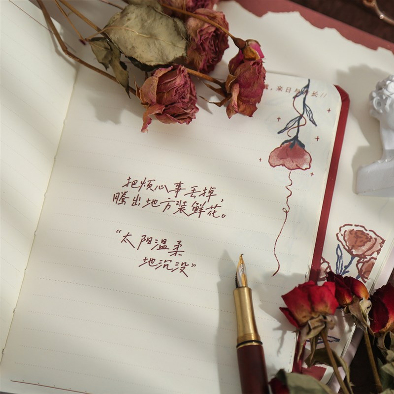 浪漫玫瑰硬面彩页精装本文艺手绘插画高颜值手帐本日记笔记本