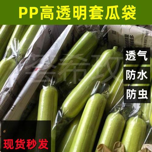 水瓜套袋瓜果两头通直筒保护薄膜透明农用防果蝇装丝瓜防虫袋