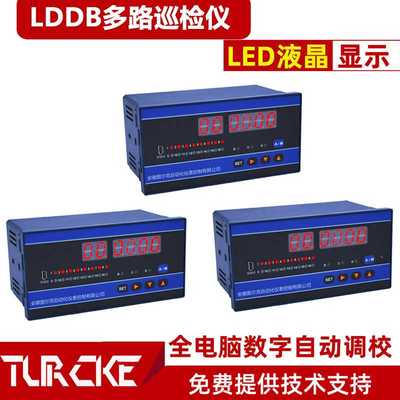 LDDB-302/12智能温度巡检仪 LDDB-302/16巡检报警仪LDDB-305/04