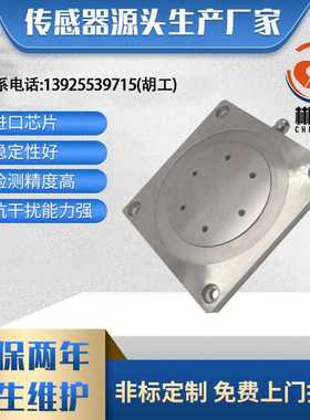 郴力CL3-101E数显测力计平面压力计带曲线平板式压力测量仪应力