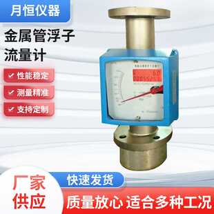 厂家直供  带背光金属管流量计LZD-  /JSE(B C)   常州月恒仪表