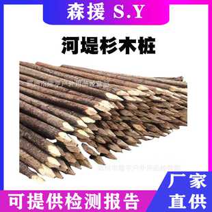 防洪护岸打桩木河道防汛木桩园林绿化支撑杆工地河堤杉木桩