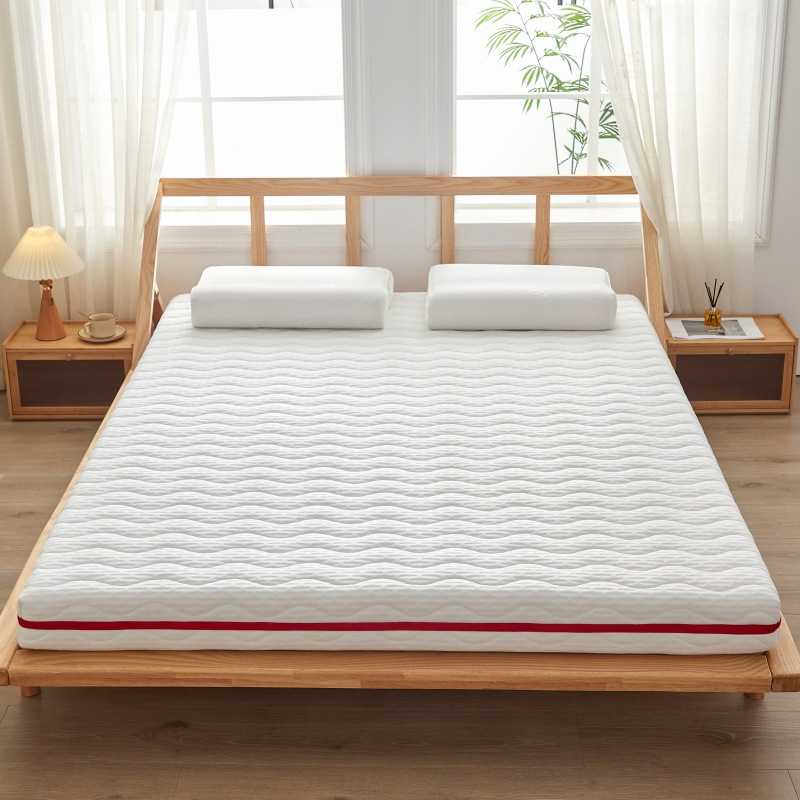 床垫家用软垫租房专用地铺睡垫宿舍学生单人可拆洗床褥垫折叠垫被
