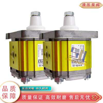 意大利VIVOLO维沃尔齿轮泵X2P4302ECBA X2P4502E00A 液压泵