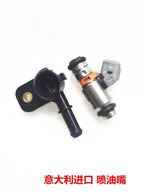 适用维斯帕VESPAGTS300 GTS250LX150LX125春天冲刺 喷油嘴意大利