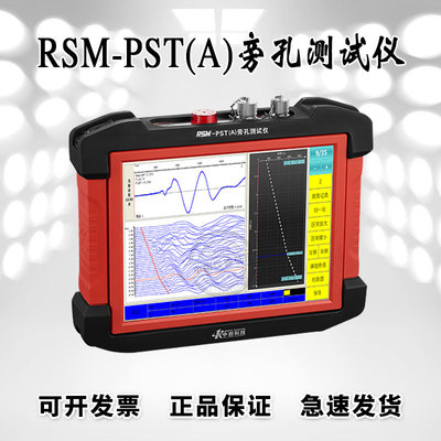 武汉中岩科技RSM-PST(A)旁孔测定仪 旁孔测试仪