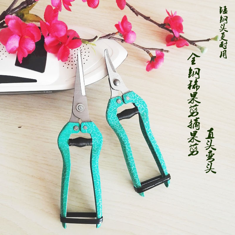 葡萄修枝剪刀不锈钢采果剪果树剪桔子摘果剪柑橘枝剪芽剪果园花剪,搬运/仓储/物流设备,其他起重搬运设备,淘宝优惠券,粉丝福利购,淘宝优惠卷