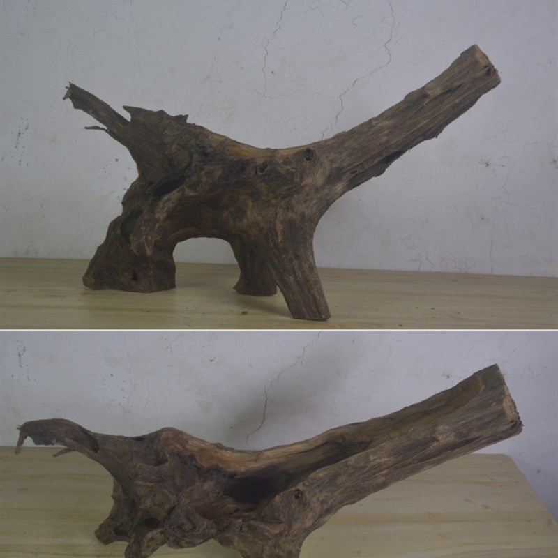 多肉花盆自然原木质树桩s根花盆枯木朽木石斛田园大多肉植物花盆