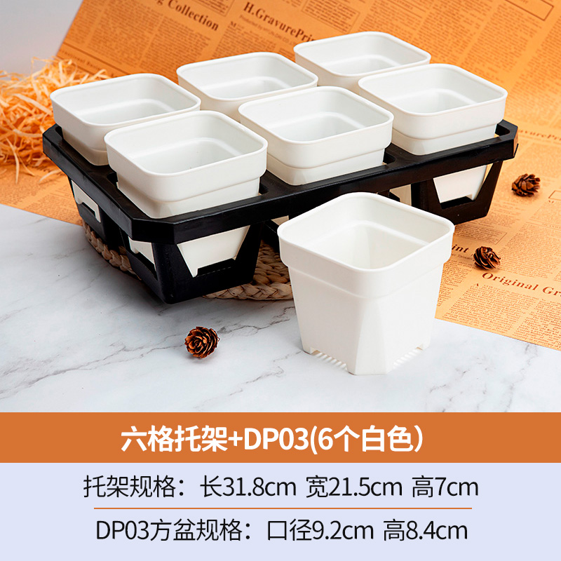 多肉花盆塑料移动多肉花盆托架方盆10cIm花盆6孔托架组合蓄水底托