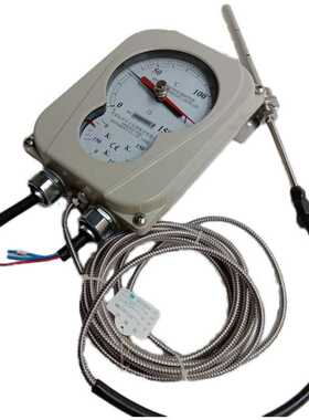 温度控制器 BWY-803ATH BWY(WTKY)-803ATH  杭州华立