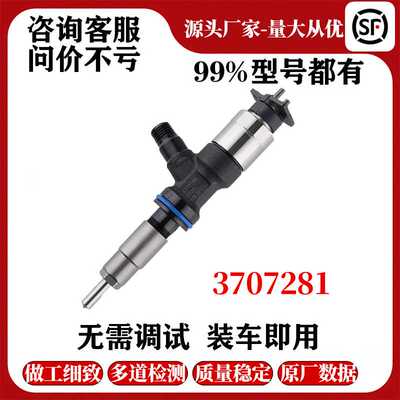 BSZ喷油器3707281稳定耐用现货