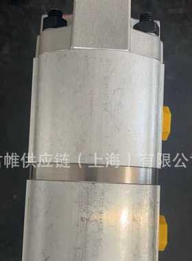 价格需核实   CASAPPA  分流马达   型号： PLD20/2/CS-GE/20-GD/