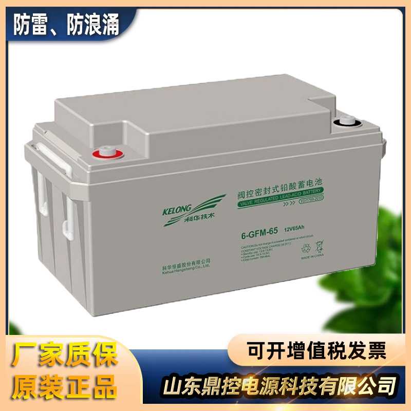 科华6-GFMJ-38A胶体蓄电池12V38AH免维护UPS不间断电源用蓄电池