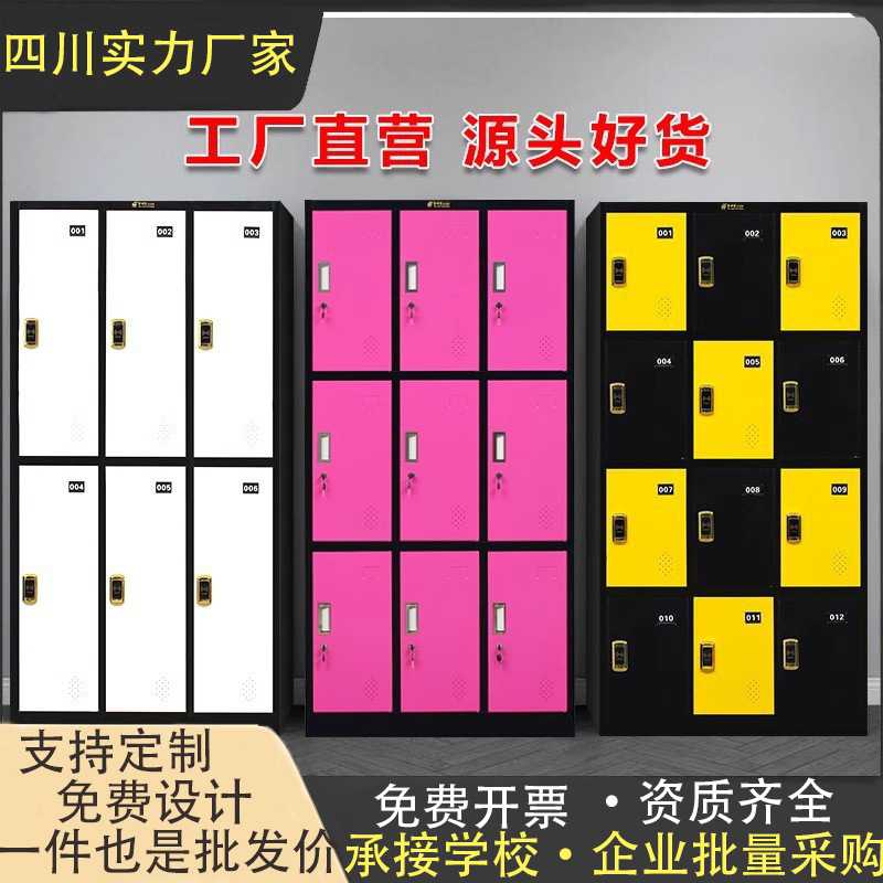 成都更衣柜健身房浴室存包柜存物柜寄存柜铁皮柜员工储物柜收纳