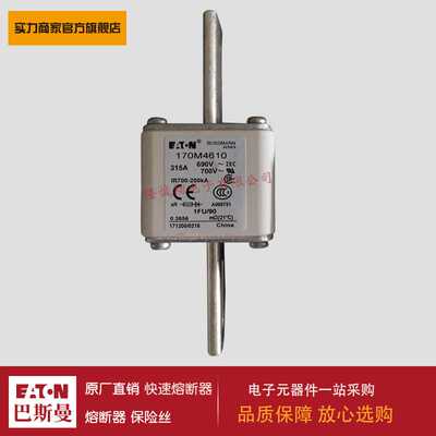 熔断器170M4614 170M4615 170M4616 170M4617 170M4618 170M4619