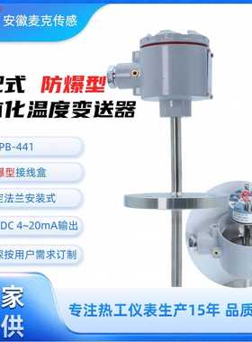 机电一体化本安防爆铂电阻 一体化温度传感器 WZPB-441  4~20mA