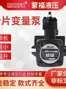 ELITE源头工厂直供液压油泵VP-20液压站油泵VB1-20叶片变量泵