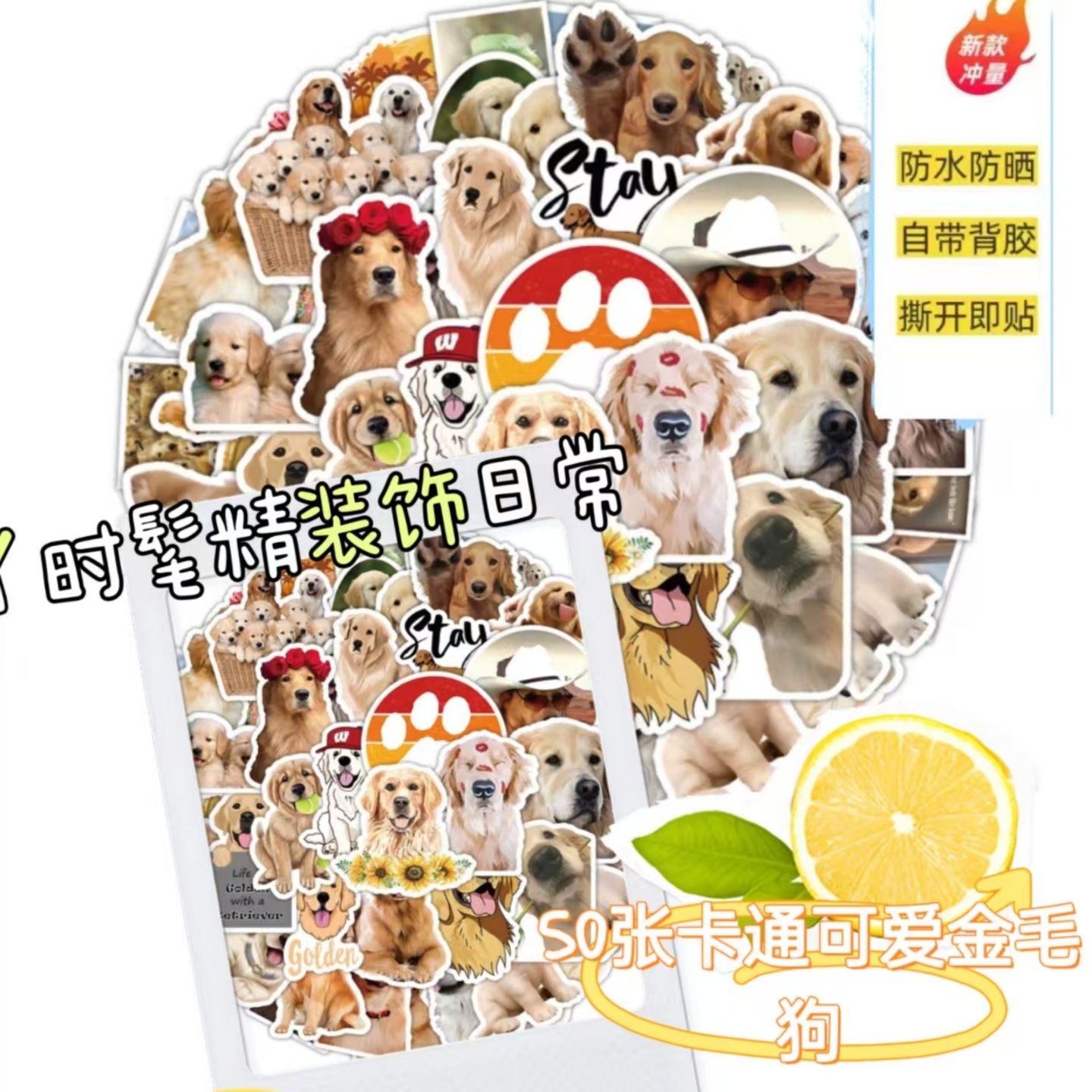 50张卡通可爱金毛犬贴纸防水DIY
