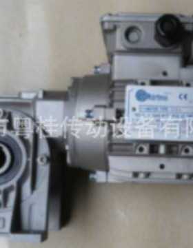 意大利DRDRIVES电机TS63B4 TS80B4 TS71B4 TS90S4 TS100LA4 TH80