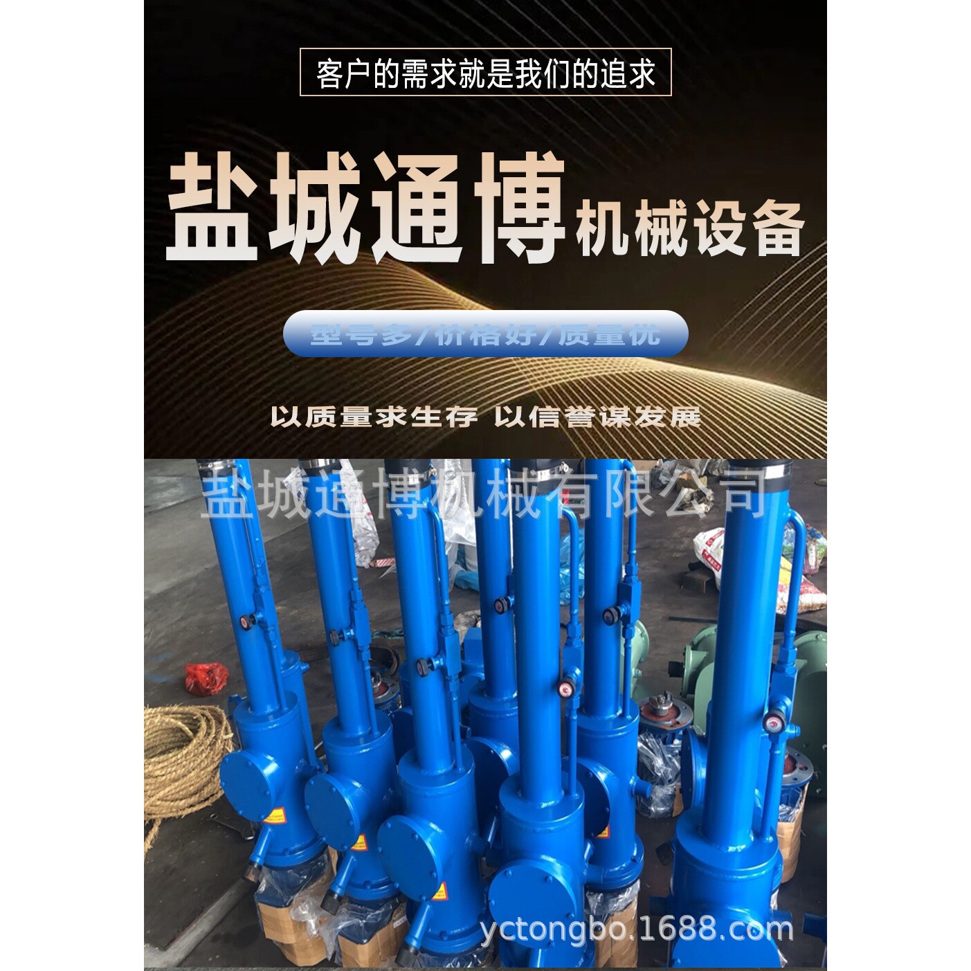 dytz1750-500电液推杆 ED-80电力液压推动器