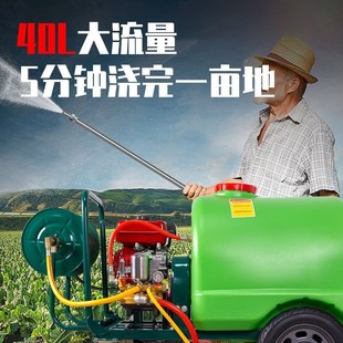 打药机带水箱农田汽油机柴油机园林养殖推车消毒专工厂 农用手推式