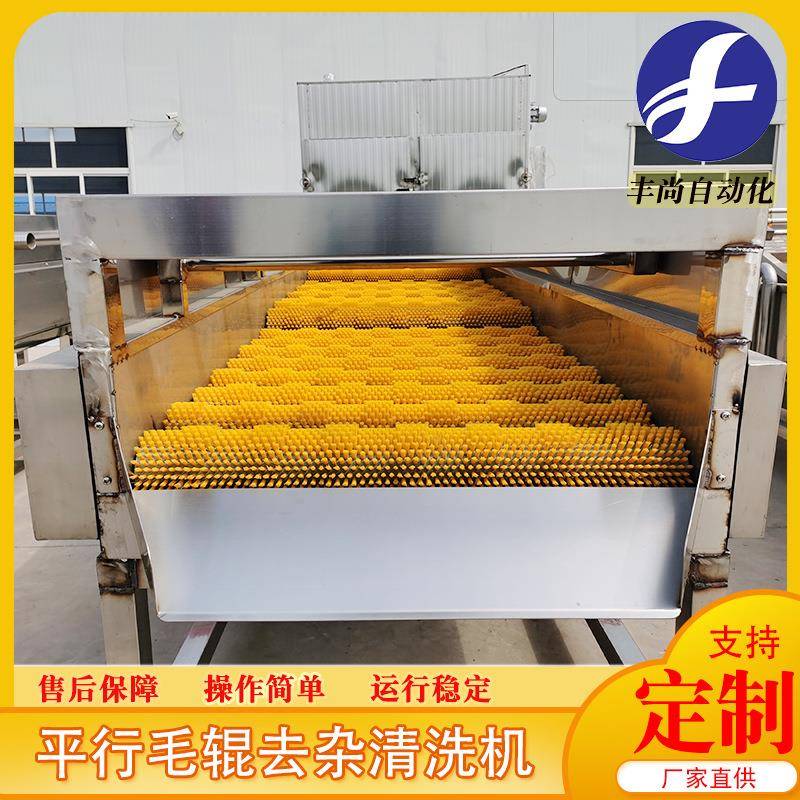 根茎类植物去泥毛辊清洗机土豆萝卜清洗去皮机平行毛辊清洗机