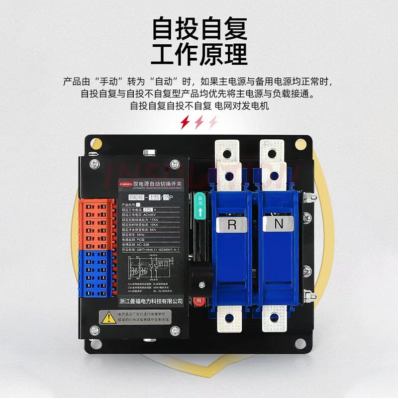 双电源自动转换开关FMQ4G-100A大功率2P双相切换开关PC级转换器