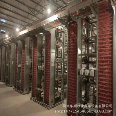 华顺牌全自动层叠捡蛋机 运行平稳噪音小 不掉蛋 配备软蛋过滤
