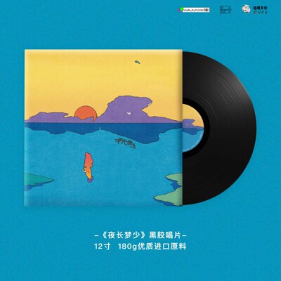 正版傻子与白痴夜长梦少黑胶