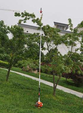 四冲程纯汽油高枝油锯果树高空修枝手持高枝锯园林打枝伐木高空锯