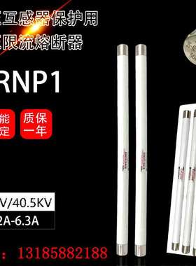 XRNP1-35-40.5KV/0.2A0.5A1A2A3A3.15A5A6.3A高压熔断器465*25mm