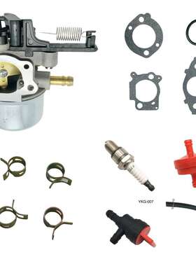 化油器带垫片 适用 AWP2700 AWP3100 2700PSI 3100PSI 808-009-2