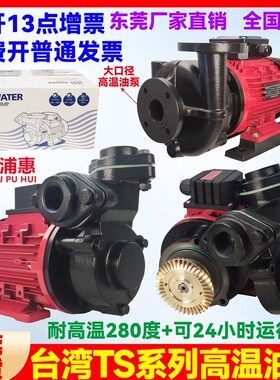 TS-63/71台湾高温油泵模温机热油循环帮浦耐高温280C油泵导热油