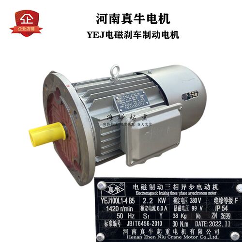 电磁制动三相异步电动机 YEJ100L1-4 B5  2.2KW河南真牛起重电机